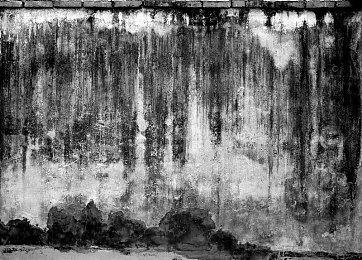 《生化危机：生存小队》首批细节和截图 现已上架谷歌Play和iOS商城