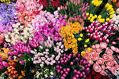 《仙剑世界》“万物有灵”PV预告 三测将在5月开启