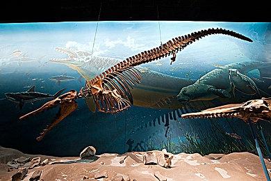 虚幻5引擎打造 恐怖逃生游戏《鸡脚》在Steam发售